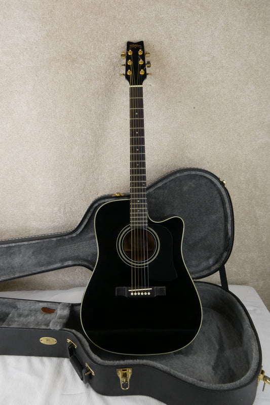 Washburn D100 CEB Blk w/HSC