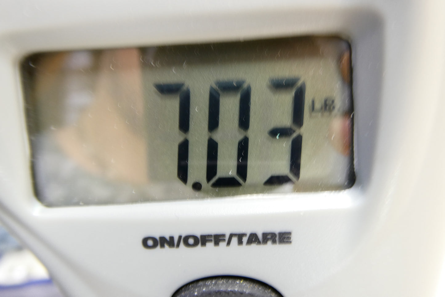 Gibson Theodore with OHSC A holdover design from 1957