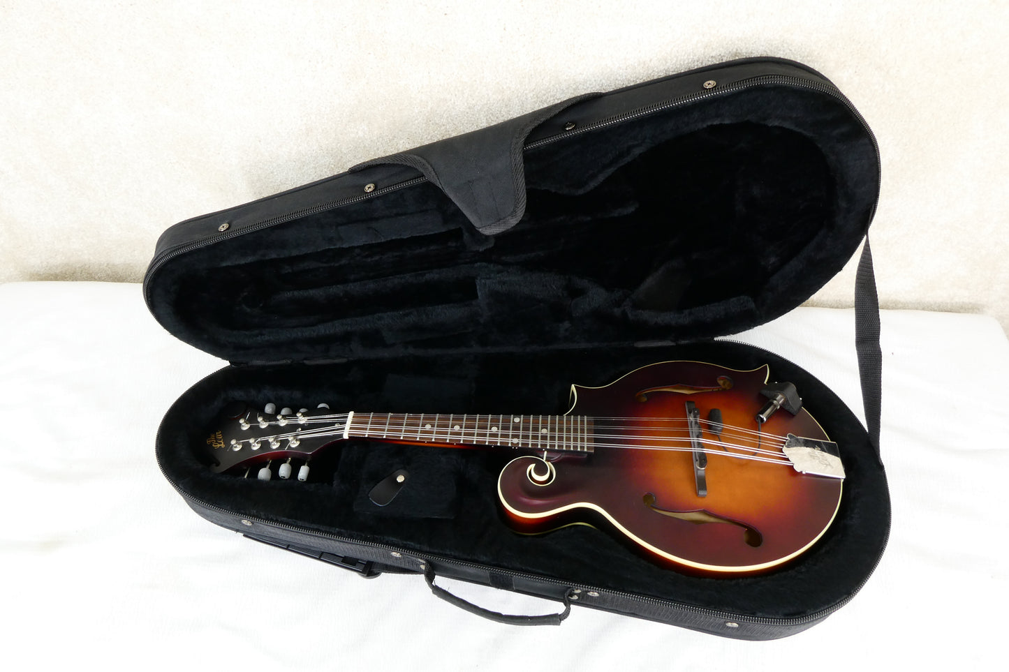 The Loar Mandolin LM 310 with Pickup