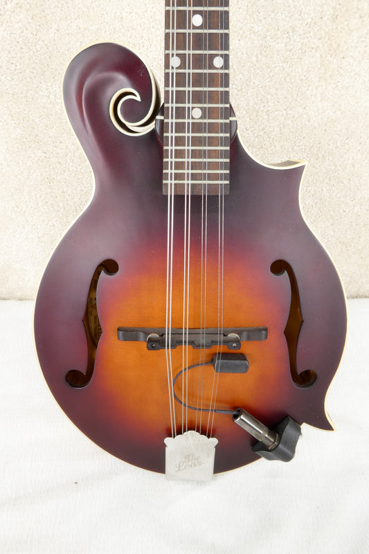 The Loar Mandolin LM 310 with Pickup