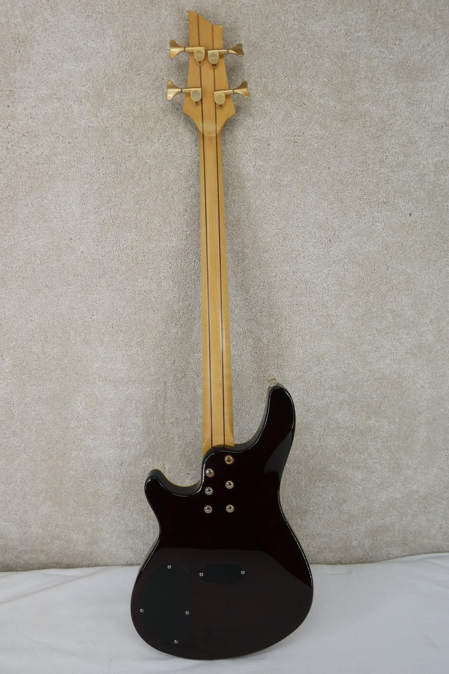Schecter DIAMOND SERIES C-4 w/GB #S080502389