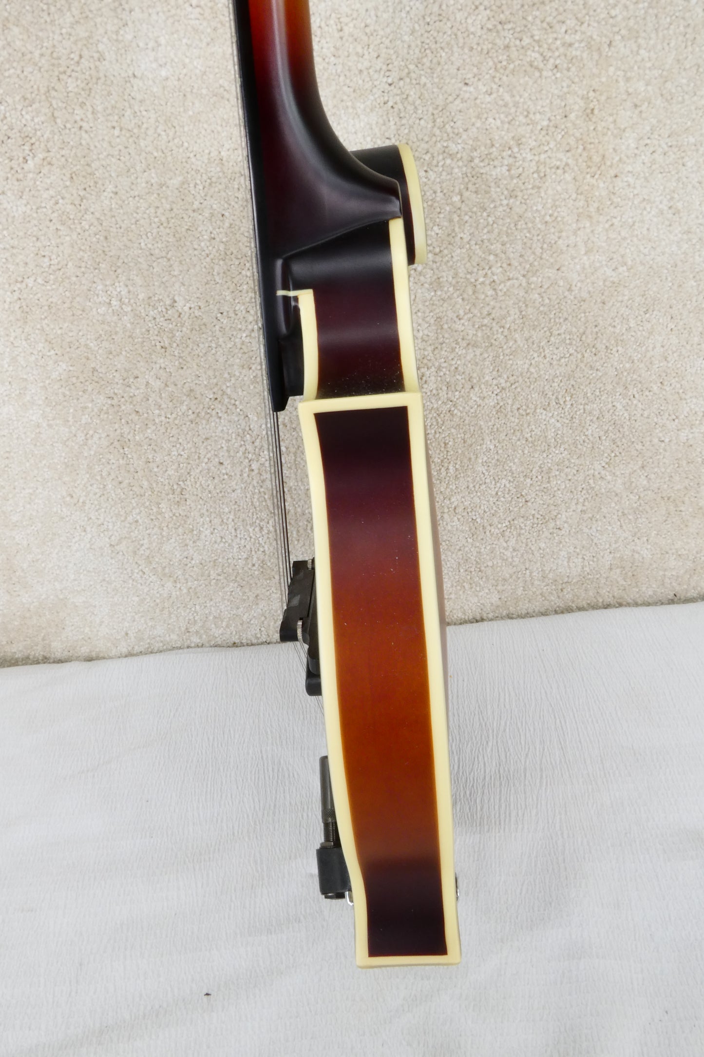 The Loar Mandolin LM 310 with Pickup