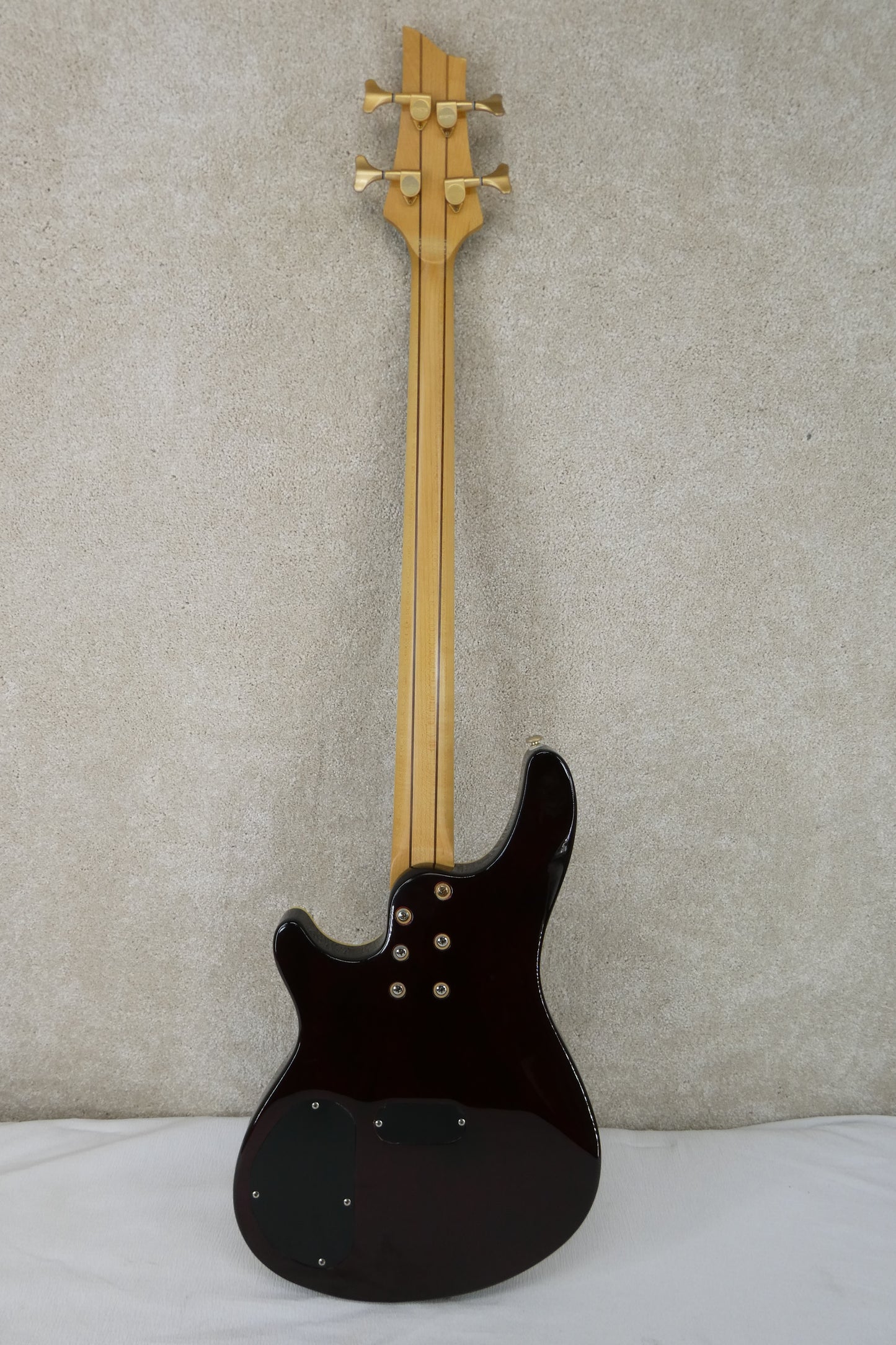 Schecter DIAMOND SERIES C-4 w/GB #S080502389
