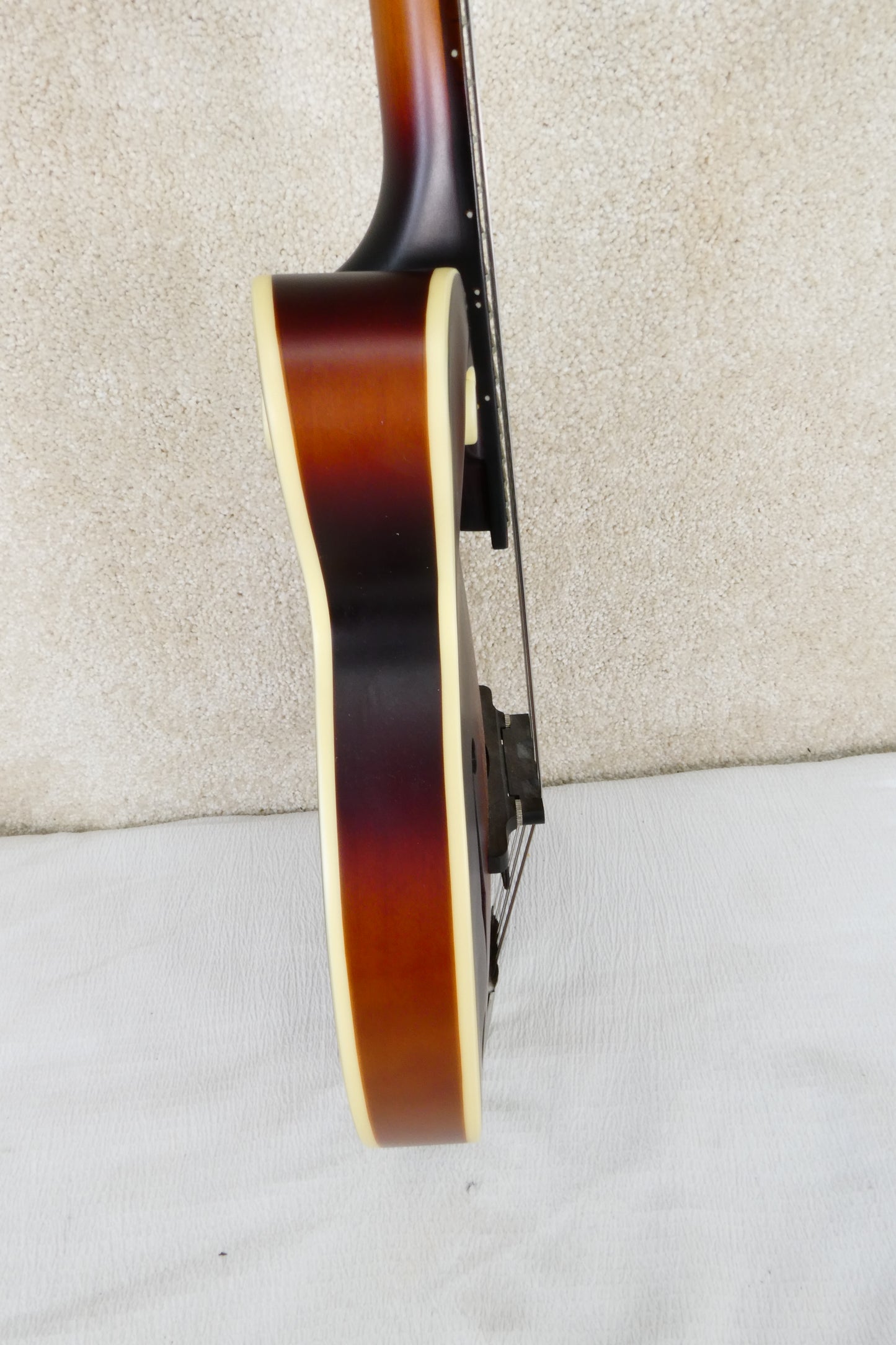 The Loar Mandolin LM 310 with Pickup