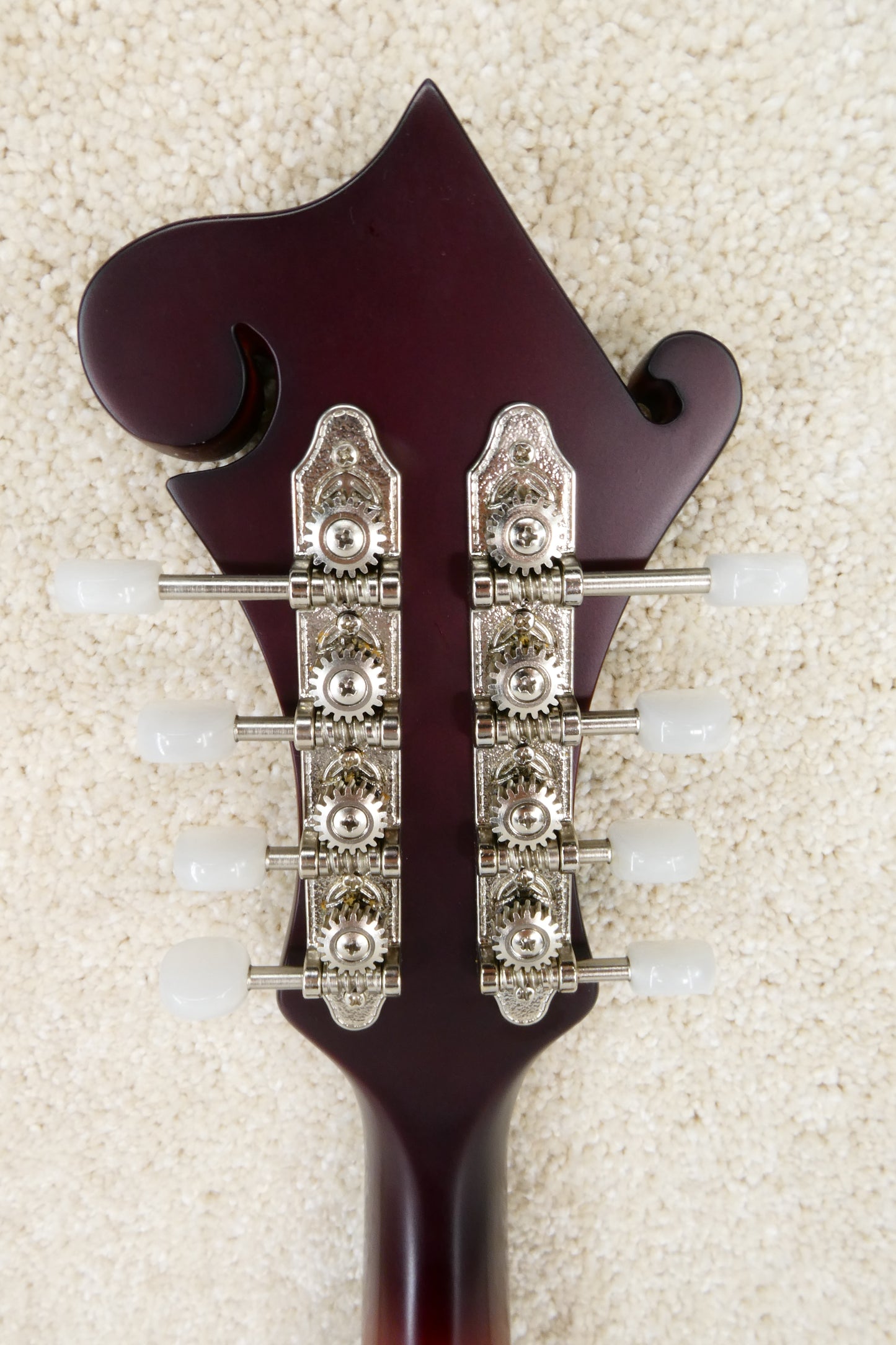 The Loar Mandolin LM 310 with Pickup