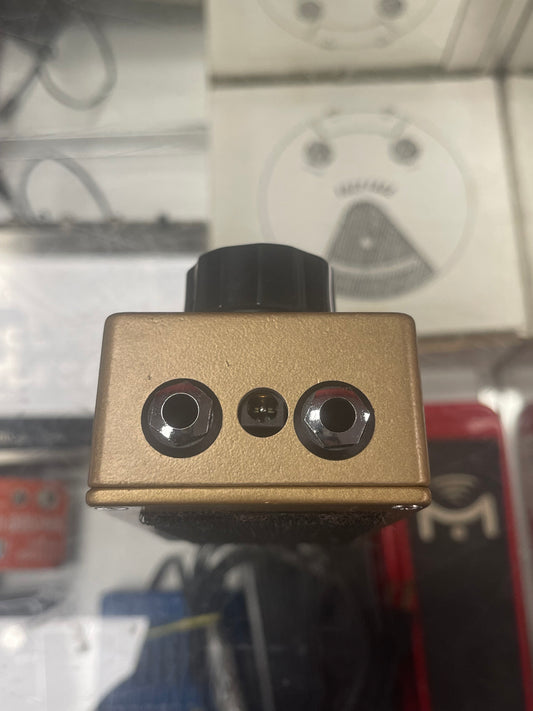 Matthews Effects The Fool 2022 - Gold / Black