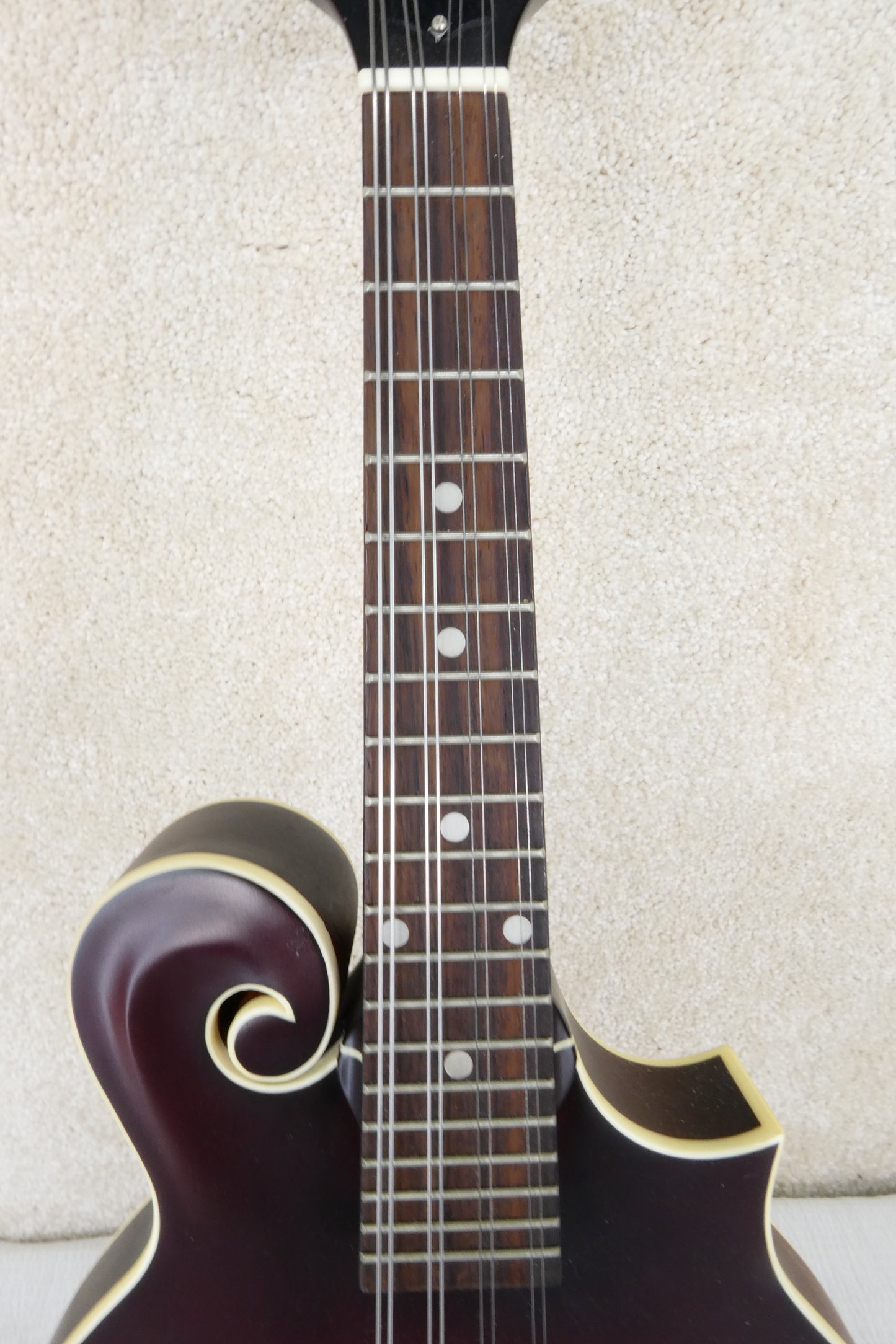 The Loar Mandolin LM 310 with Pickup