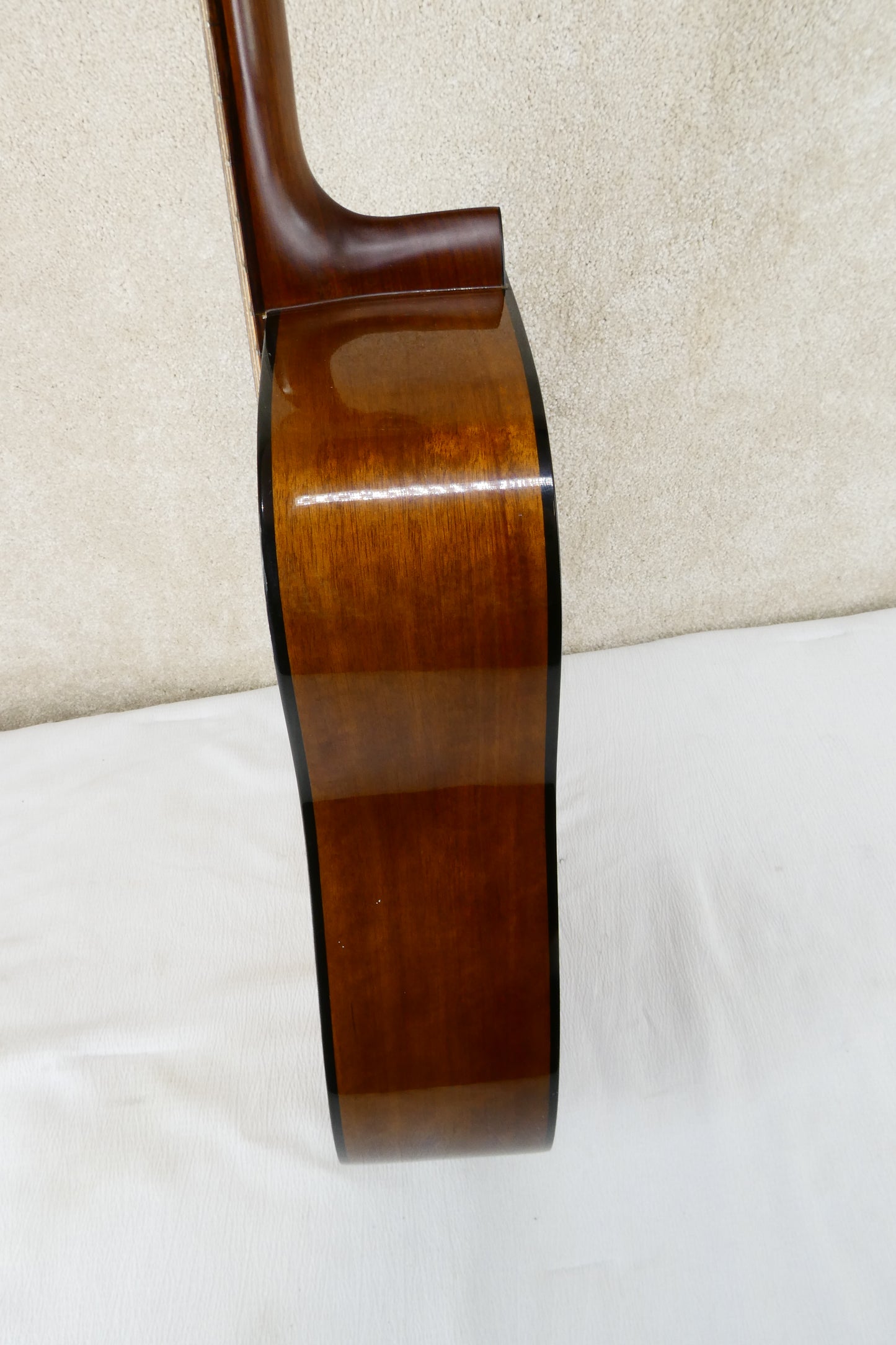 Fender F 310 -12 1980's - Natural with Gig Bag