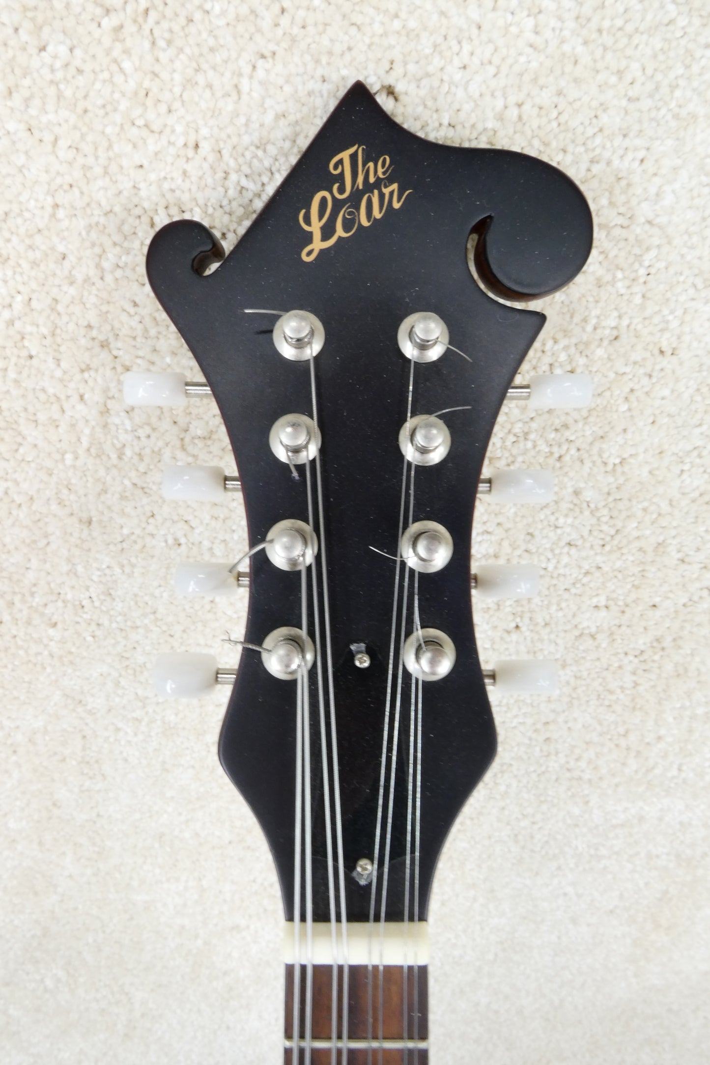 The Loar Mandolin LM 310 with Pickup