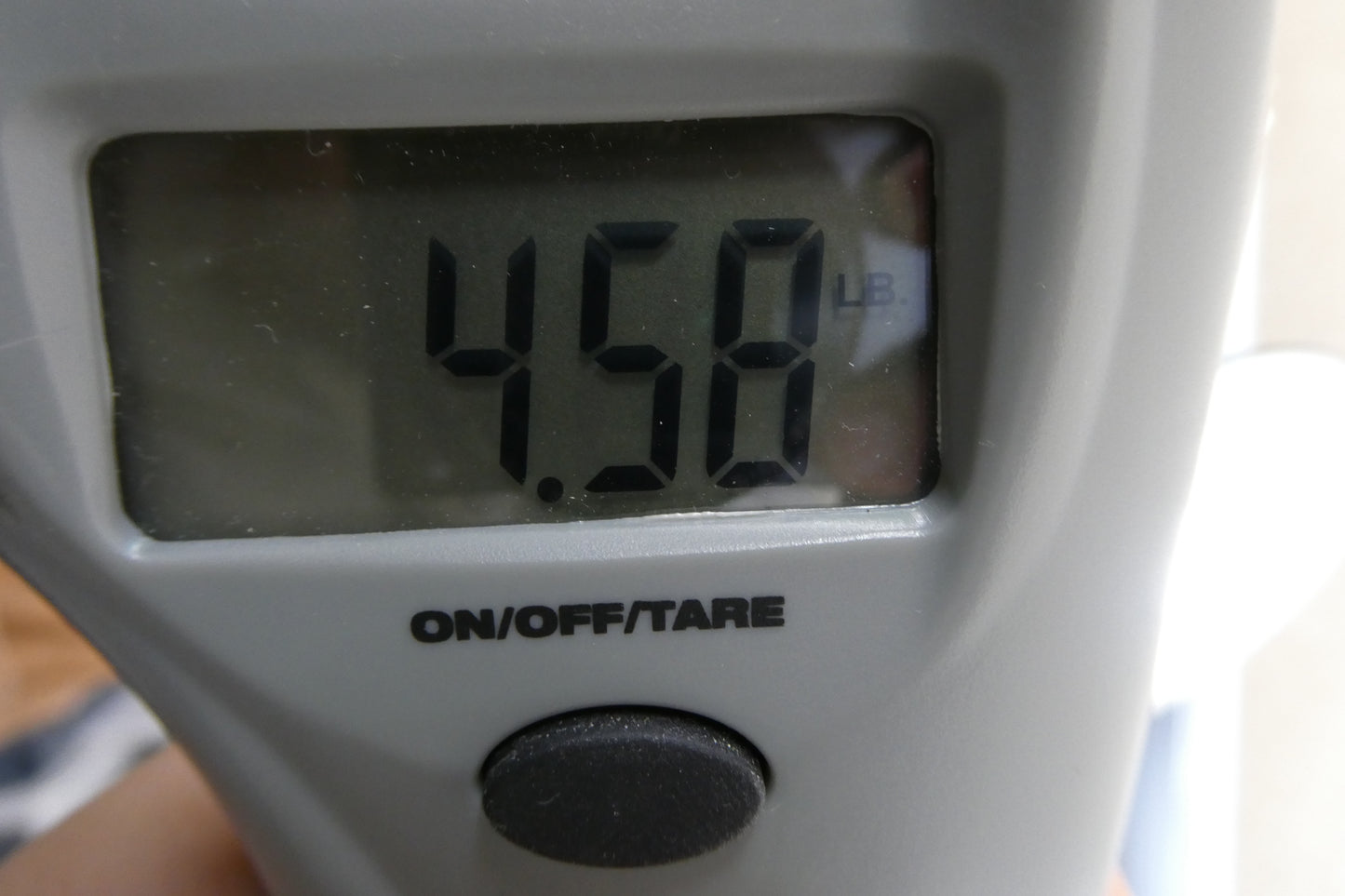 Silvertone Archtop No Bag No Case