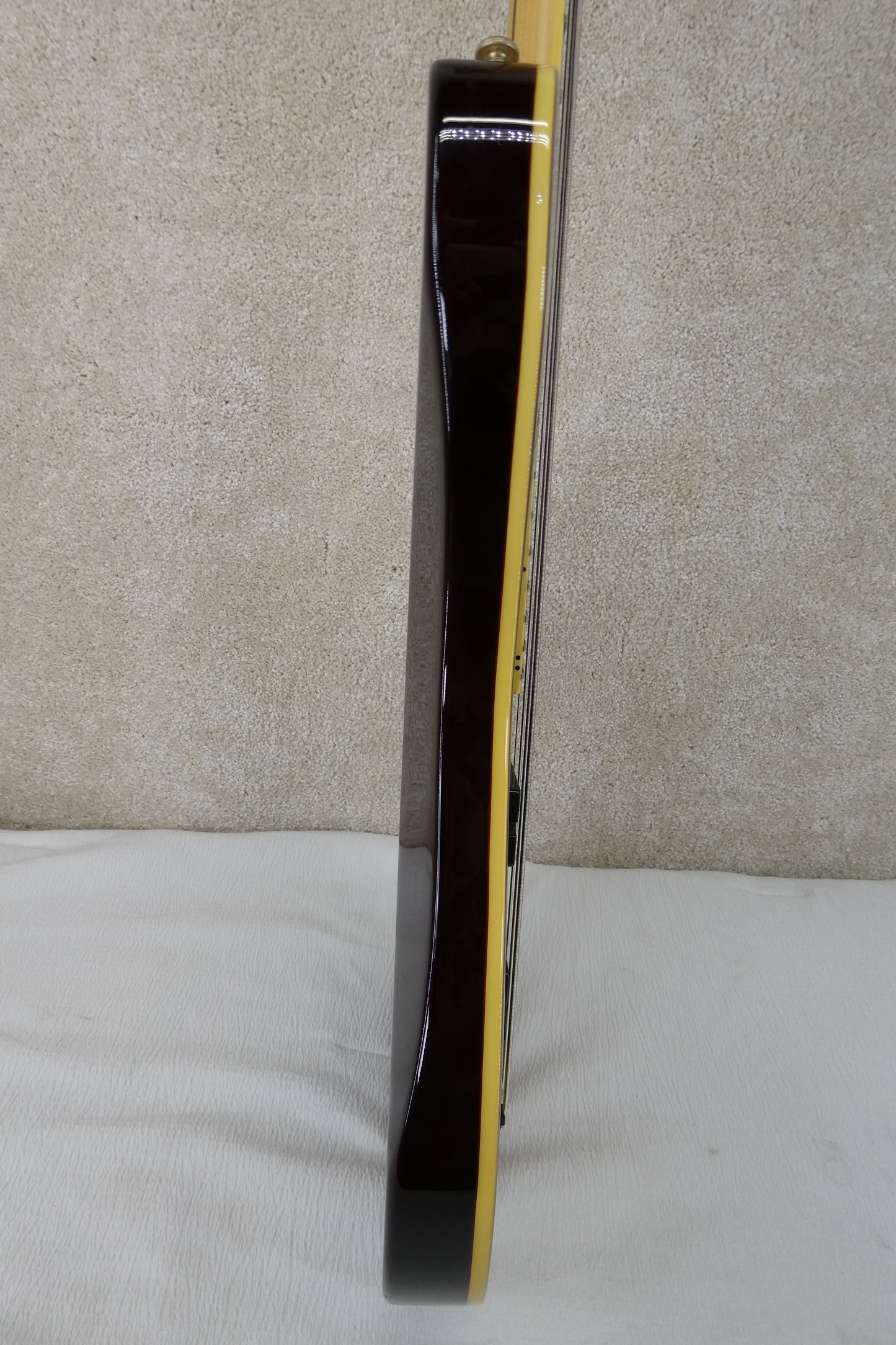Schecter DIAMOND SERIES C-4 w/GB #S080502389