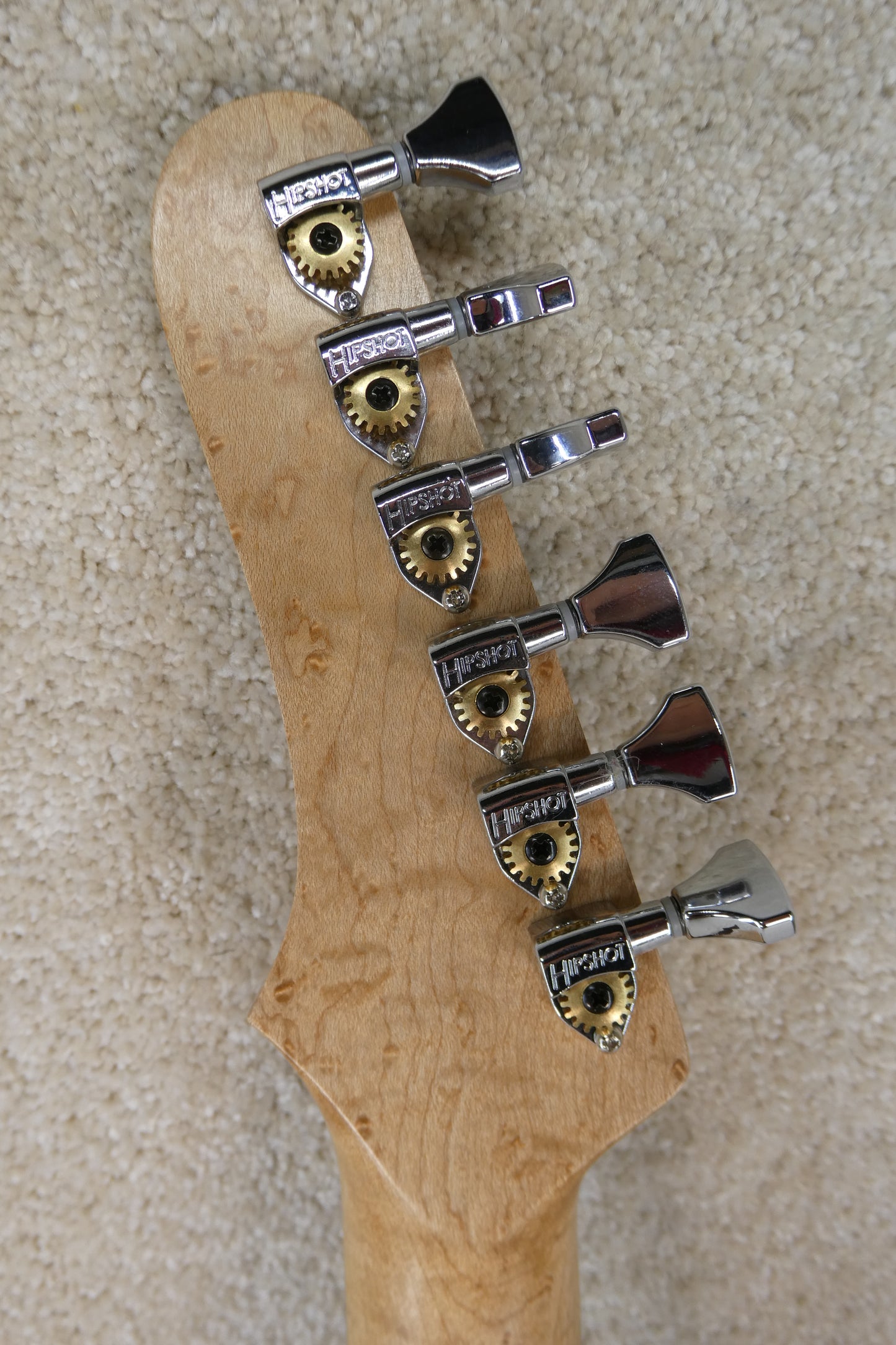 Danny Boyles Custom Acousticaster w/HSC