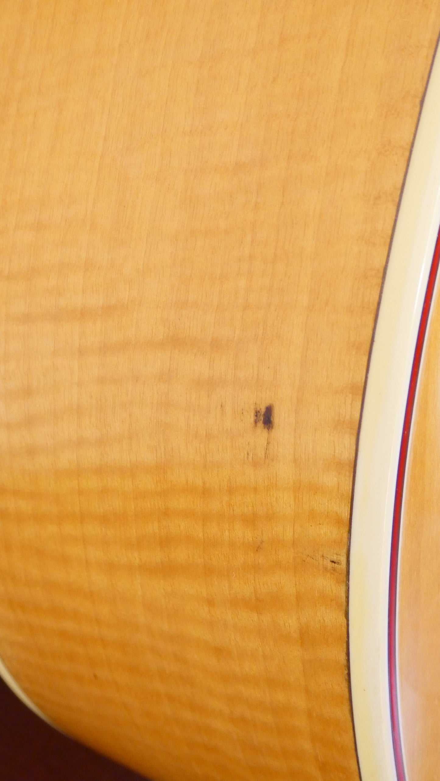 Takamine Jasmine C48M Classical #139901 w/HSC