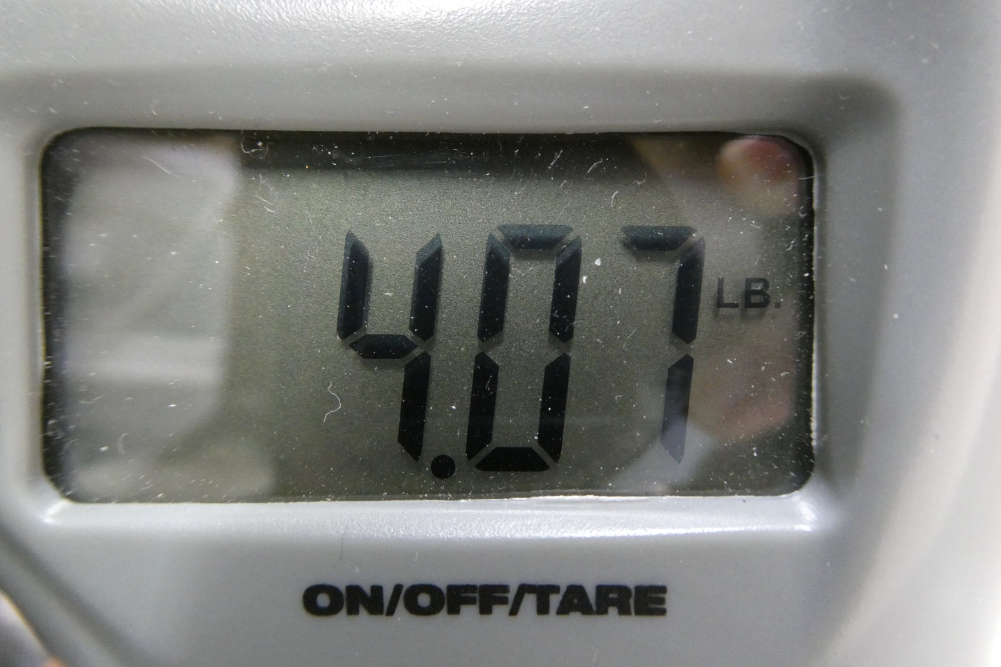 Marquis Acoustic 1970's