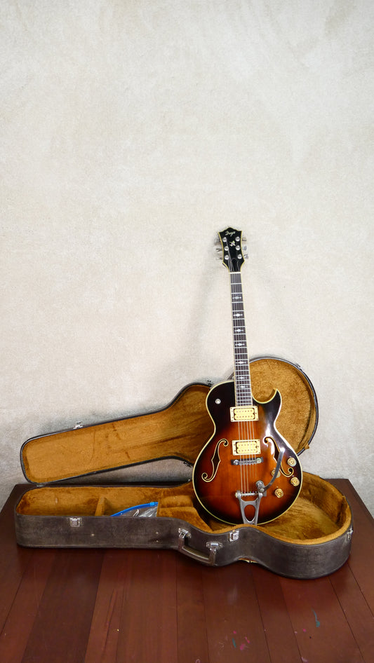 Brazos Guitars Daion 70's/80's #2261  Hollowbody w/Bigsby Tailpiece USED w/HSC