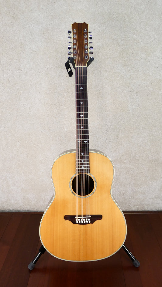 Alvarez Silver Anniversary Acoustic Guitar Model 2551