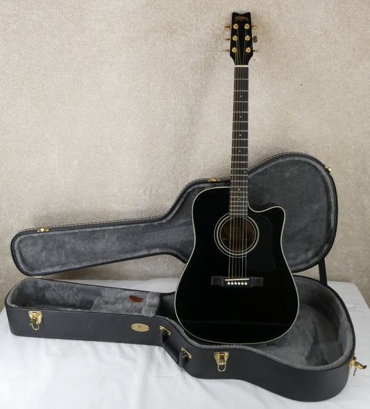 Washburn D100 CEB Blk w/HSC