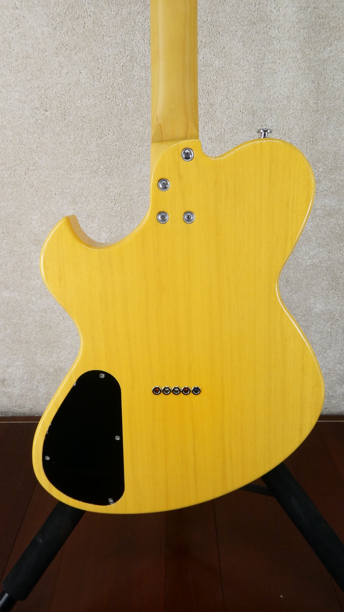 Newman 5-String Standard 2026 - Butterscotch Maple