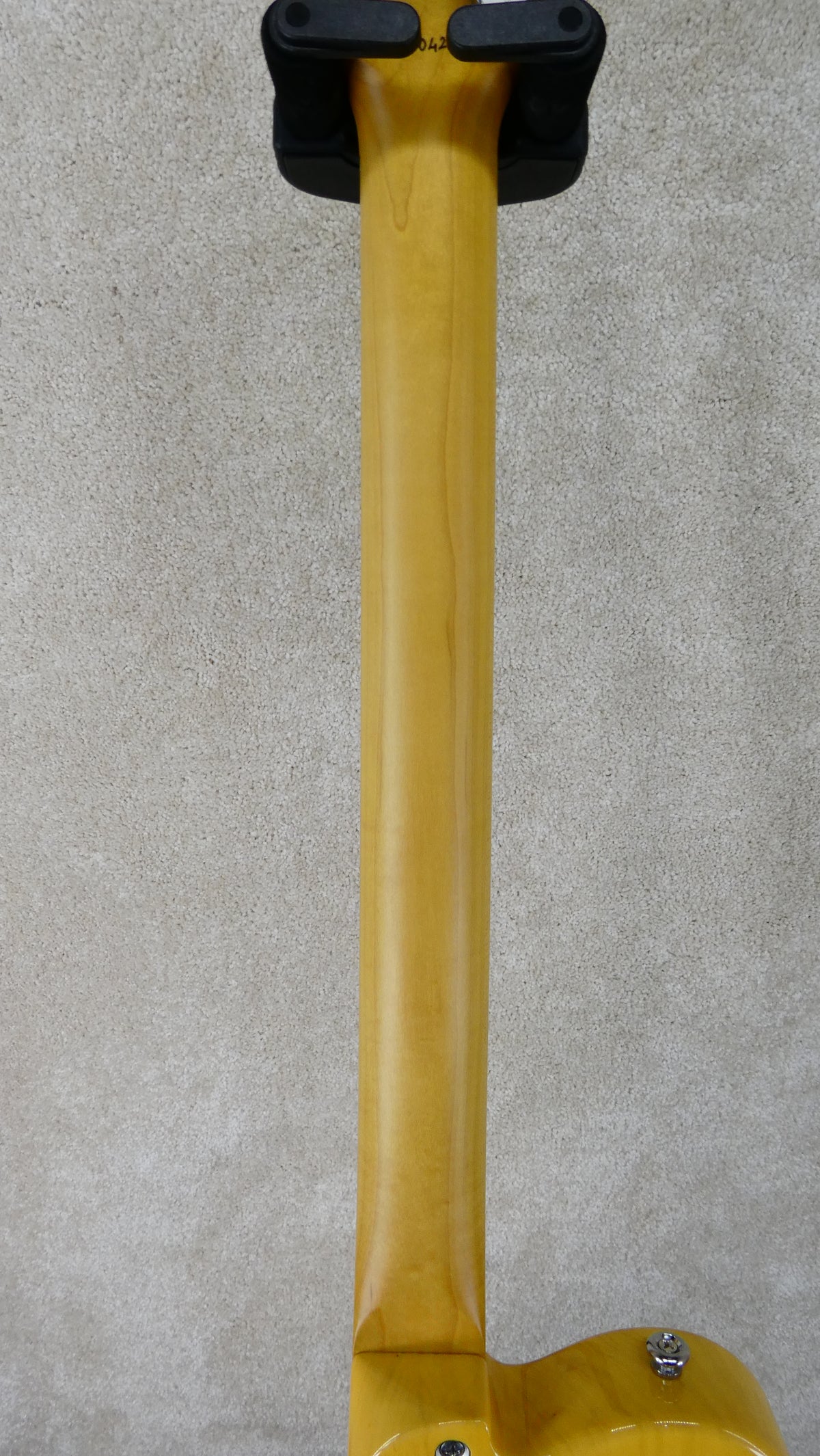 Newman 5-String Standard 2026 - Butterscotch Maple