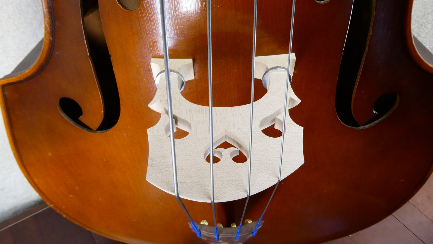 Kay Standup Bass 1955 w/GB