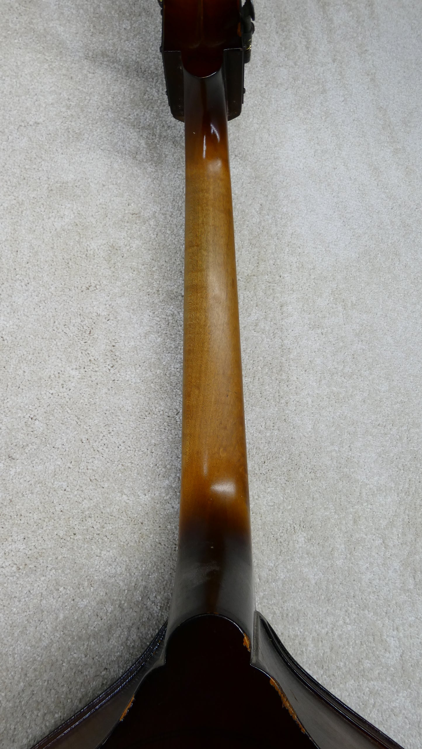 Kay Standup Bass 1955 w/GB
