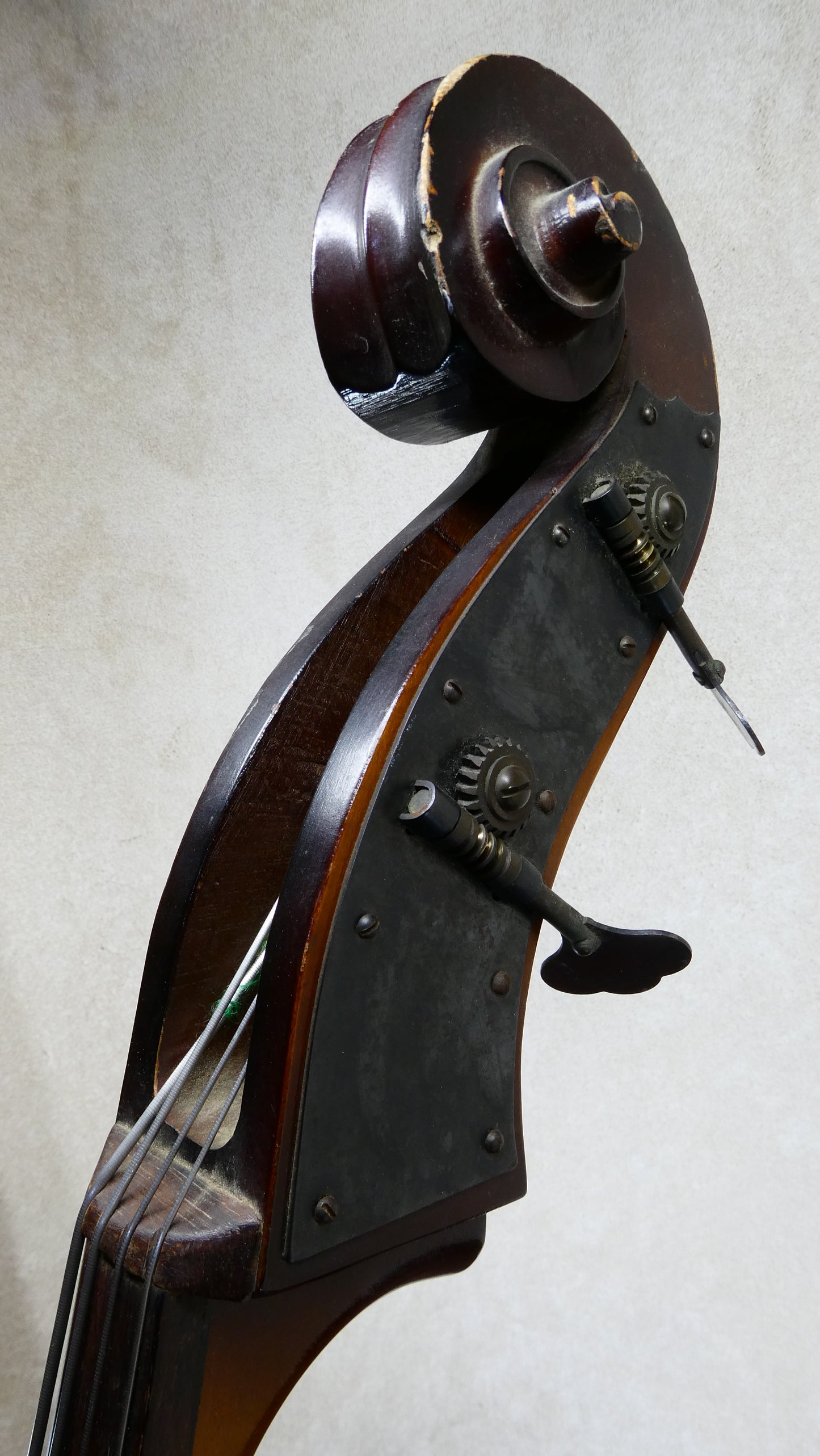 Kay Standup Bass 1955 w/GB
