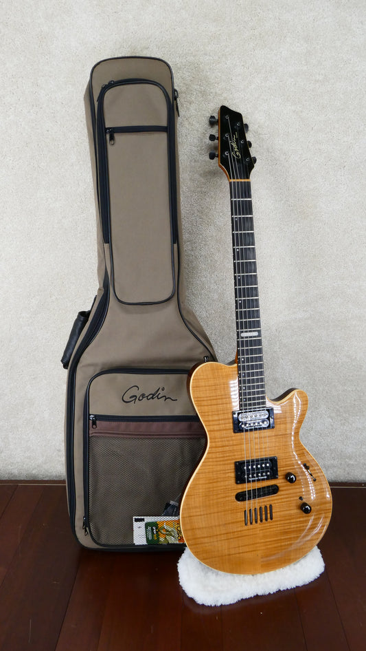 Godin Summit 2009 w/GB #09463152 USED