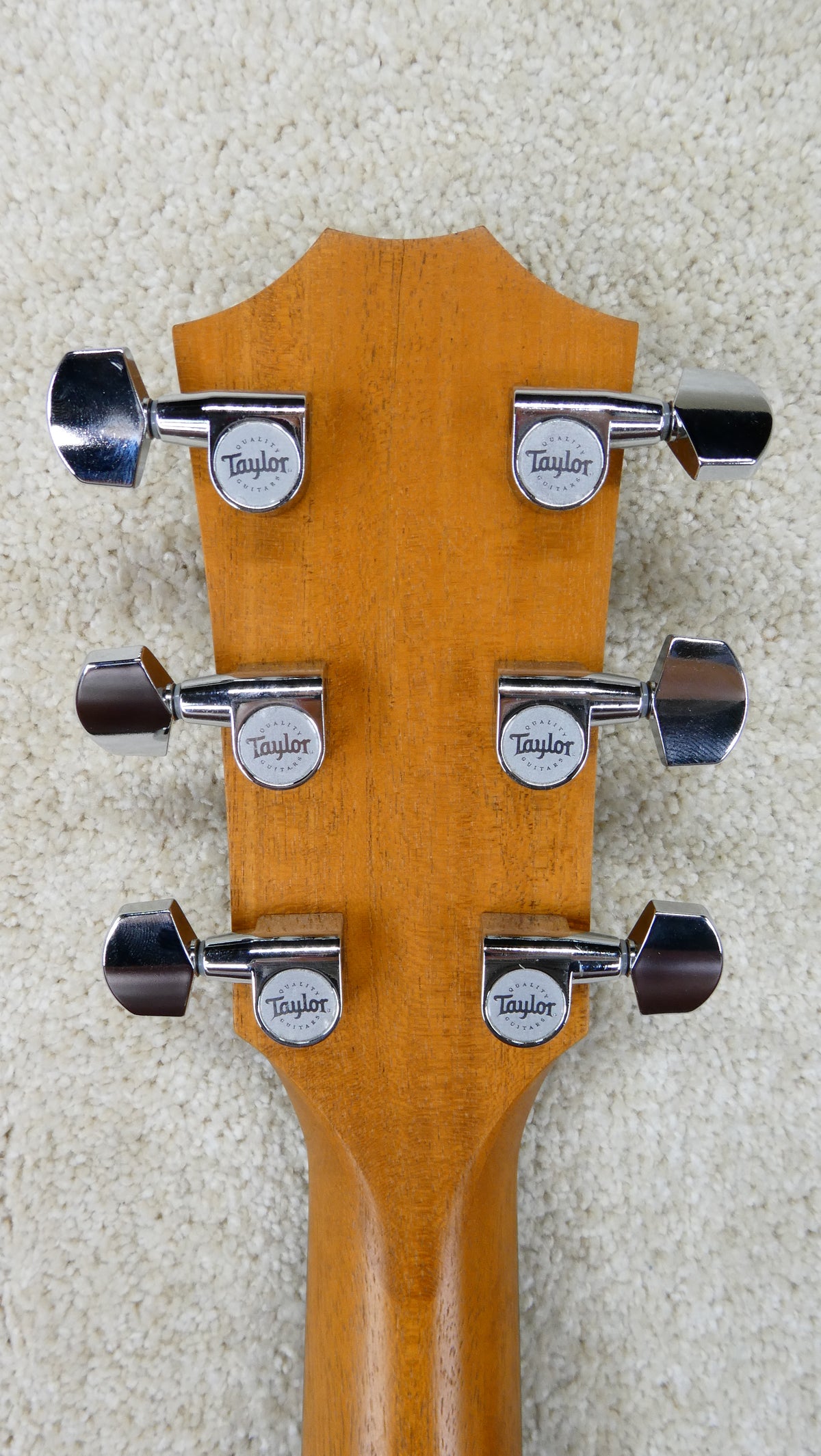 Taylor 210ce w/TaylorGB #2209242144 USED