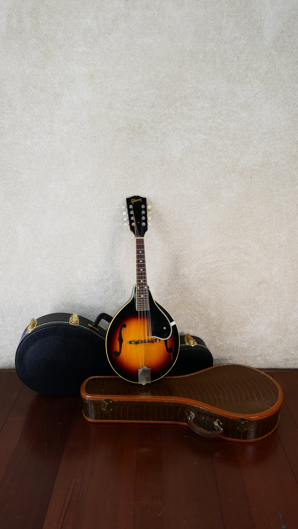 Gibson A-50 Mandolin 1964 Used