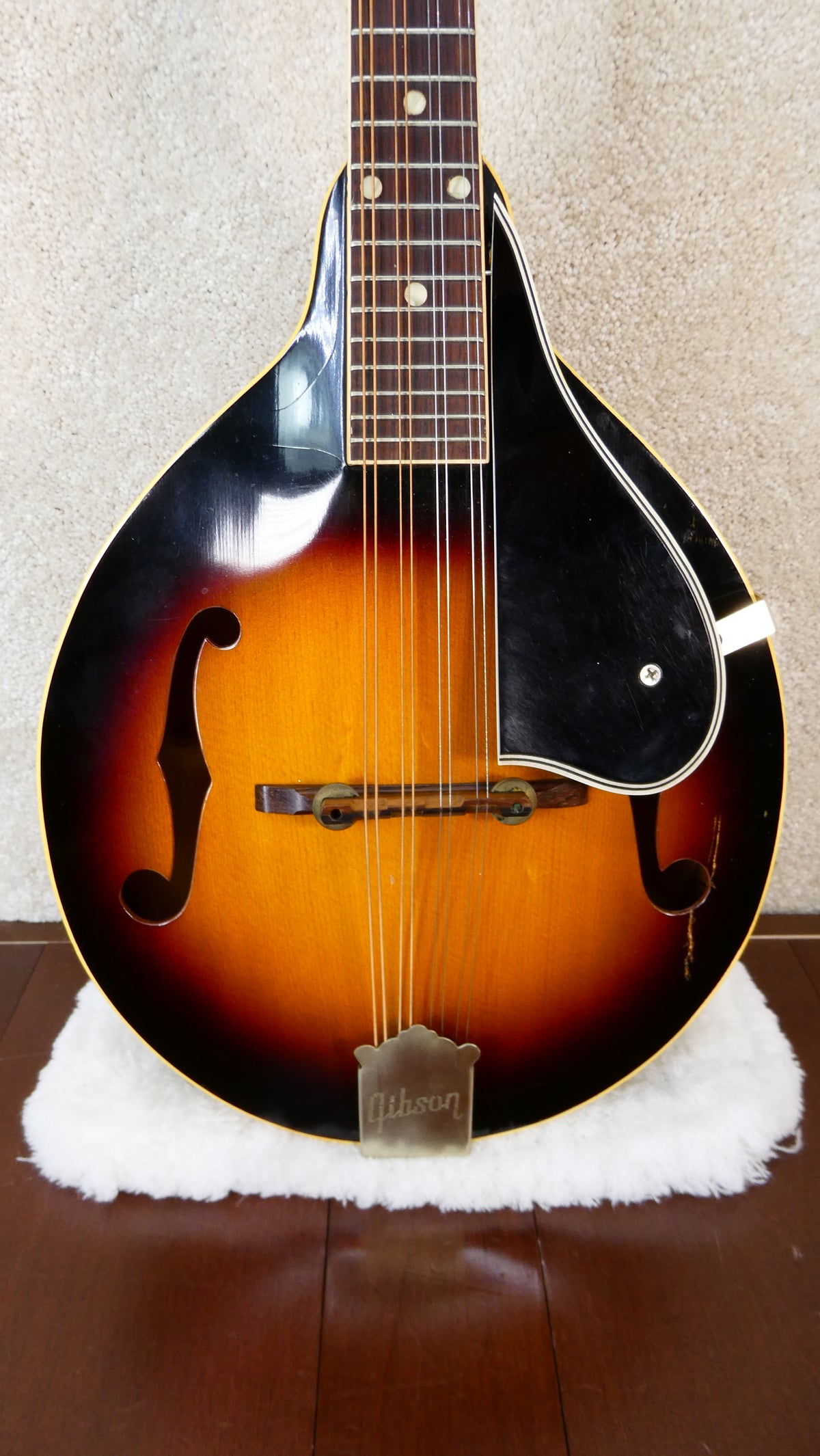 Gibson A-50 Mandolin 1964 Used