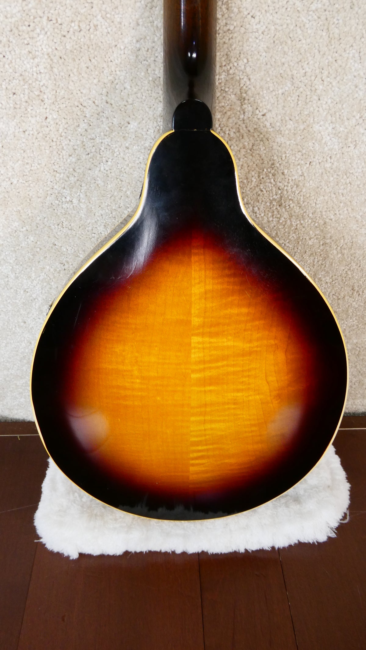 Gibson A-50 Mandolin 1964 Used