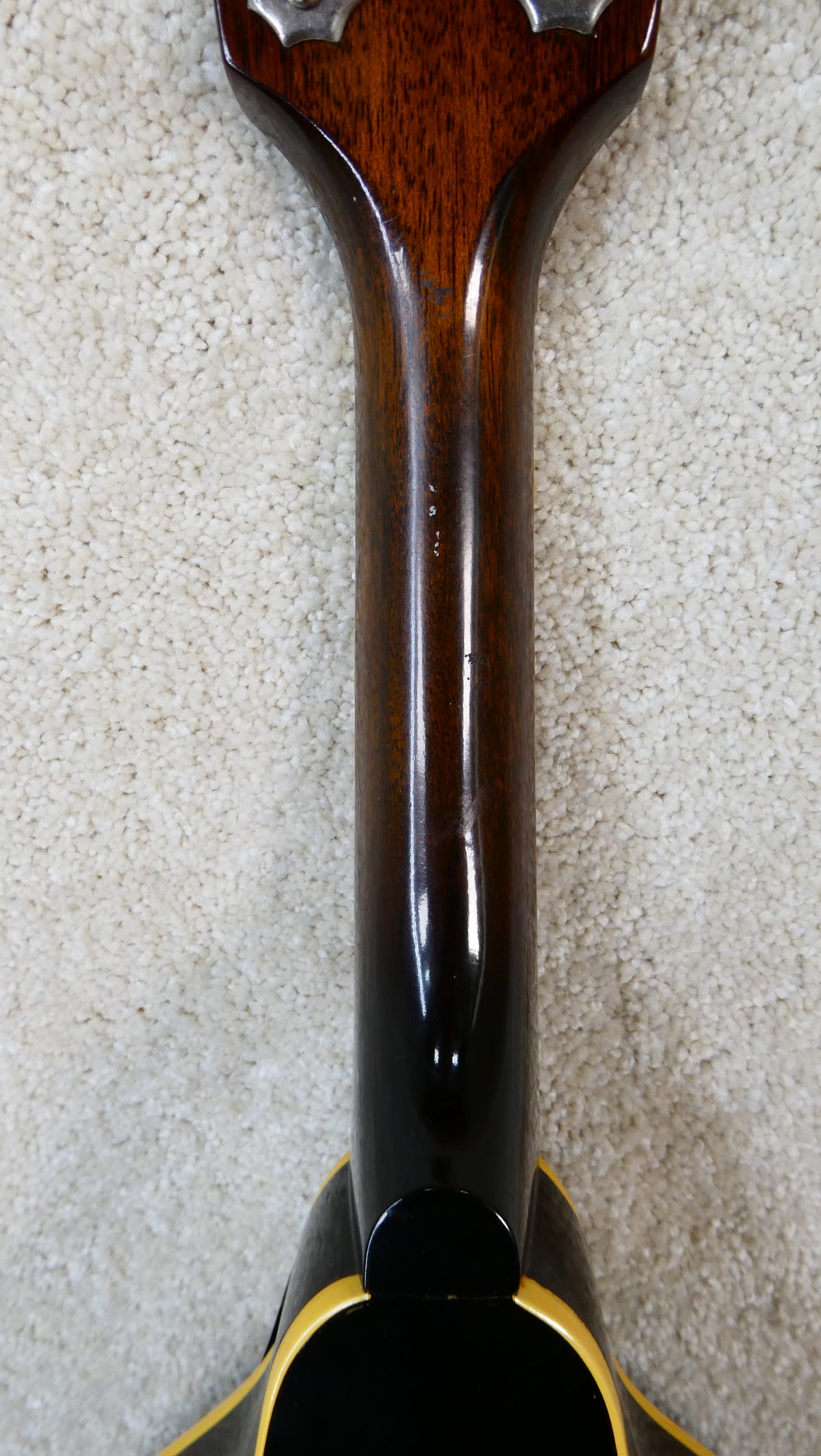 Gibson A-50 Mandolin 1964 Used