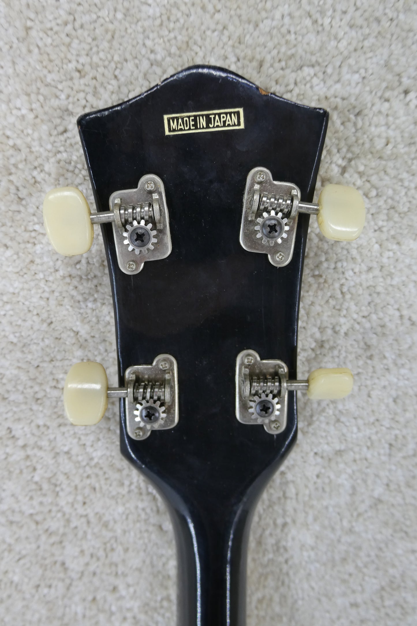 Cameo 5 String Banjo