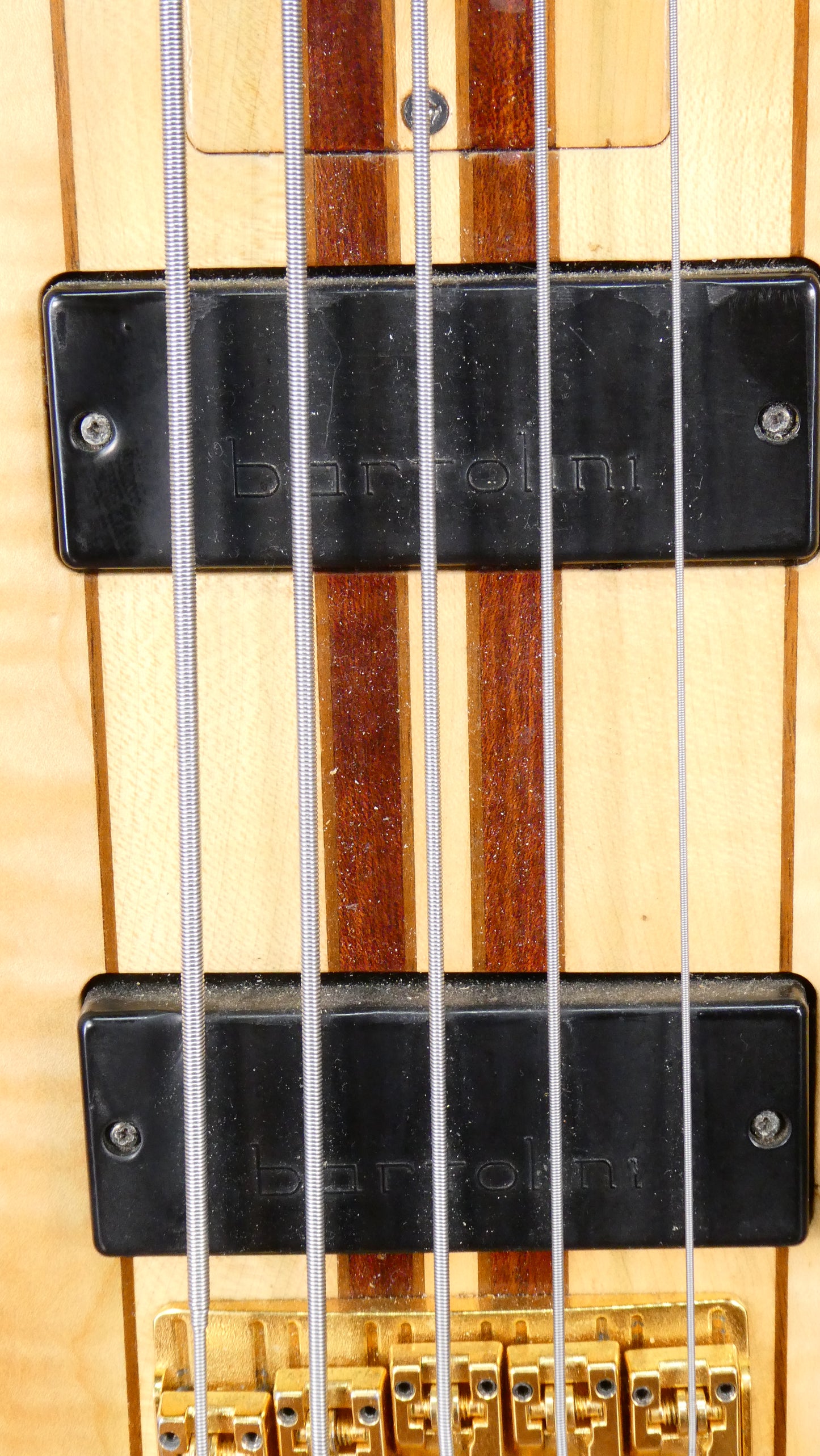 Z 5-String Custom Bass USED NBNC