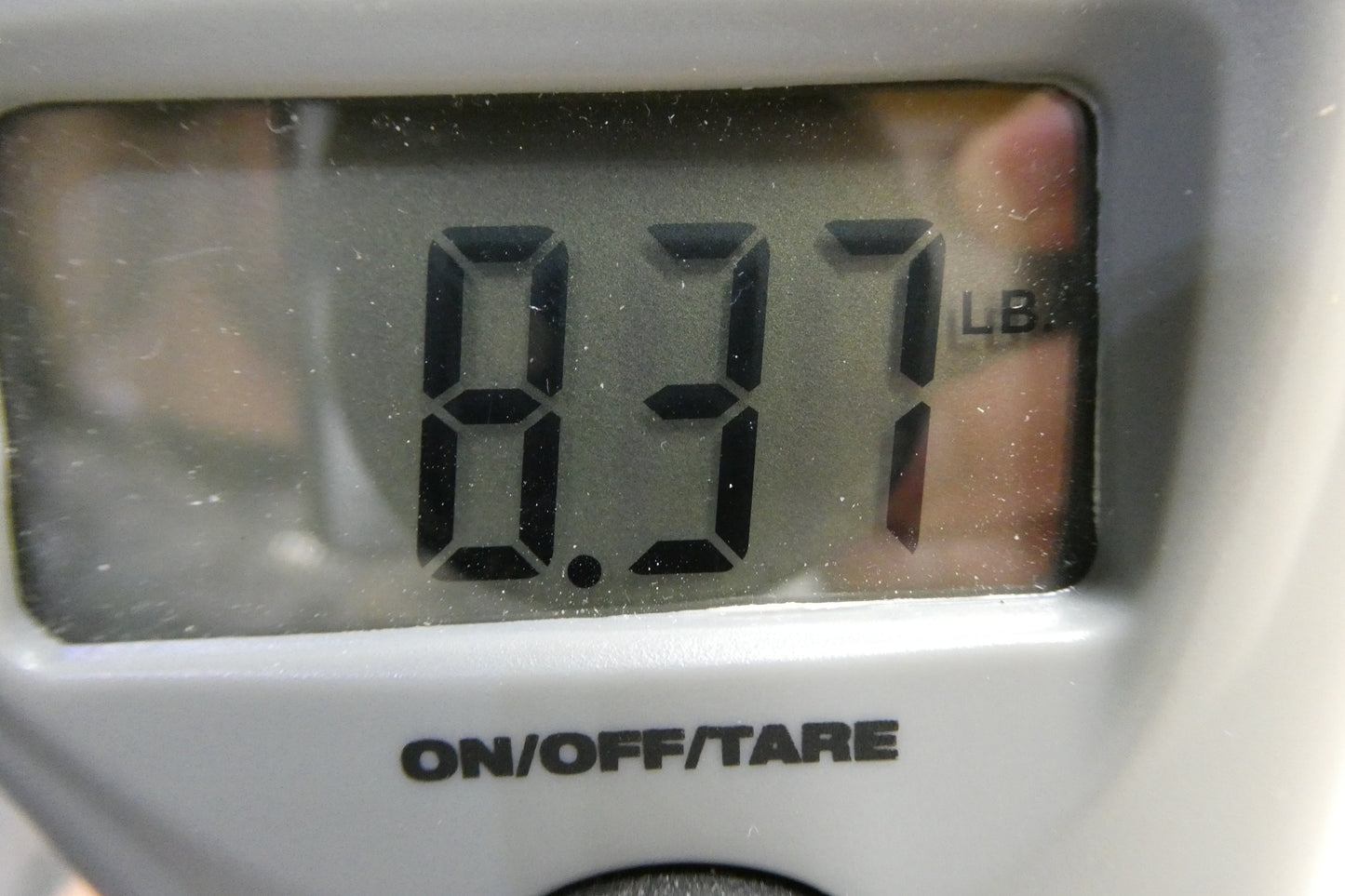 Rivolta Combinata 12 String - Blonde with Gig bag Modified