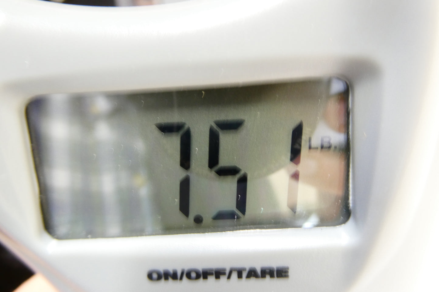 Fender Pawn Shop 51 MIJ #T011878 HSC USED