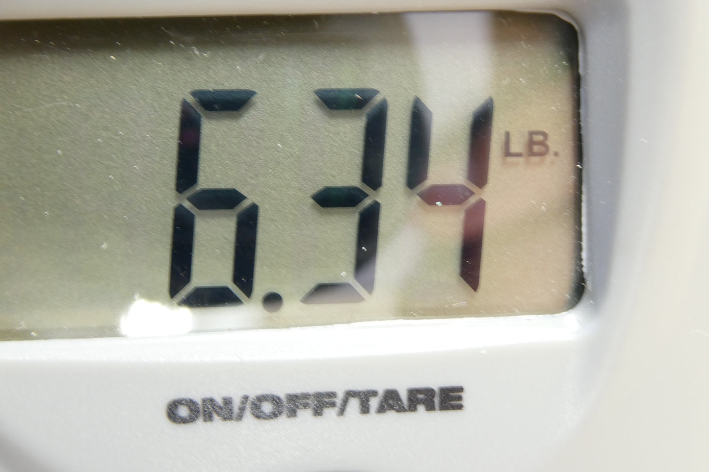 Gibson SG 2004 - Faded W/Epiphone HSC