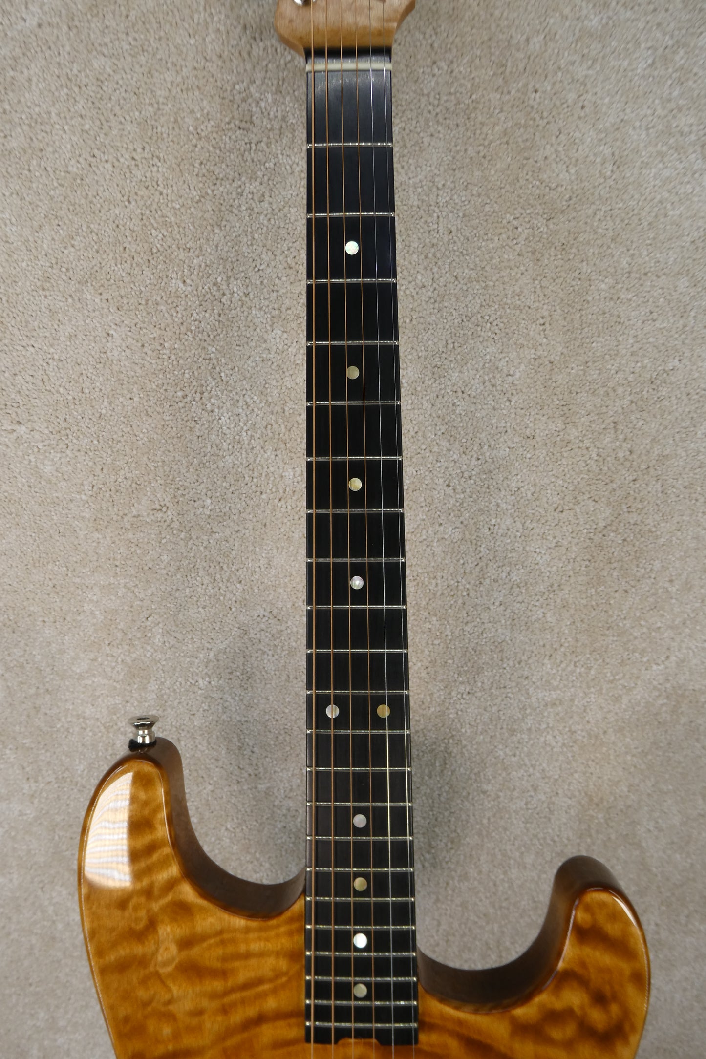 Danny Boyles Custom Acousticaster w/HSC