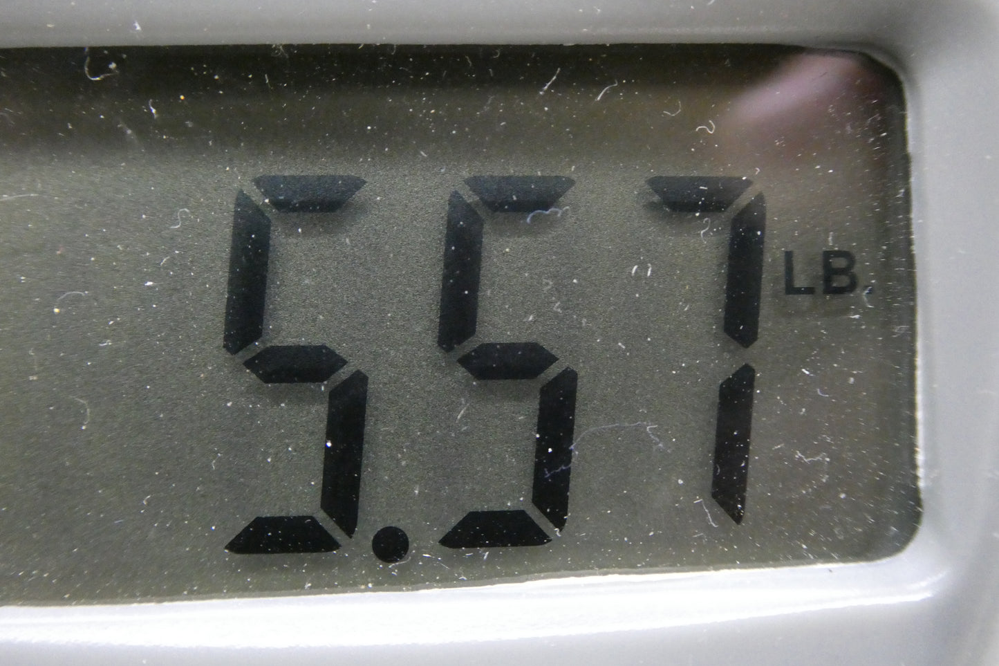 Epiphone El Segundo Acoustic Electric Bass Guitar - Natural