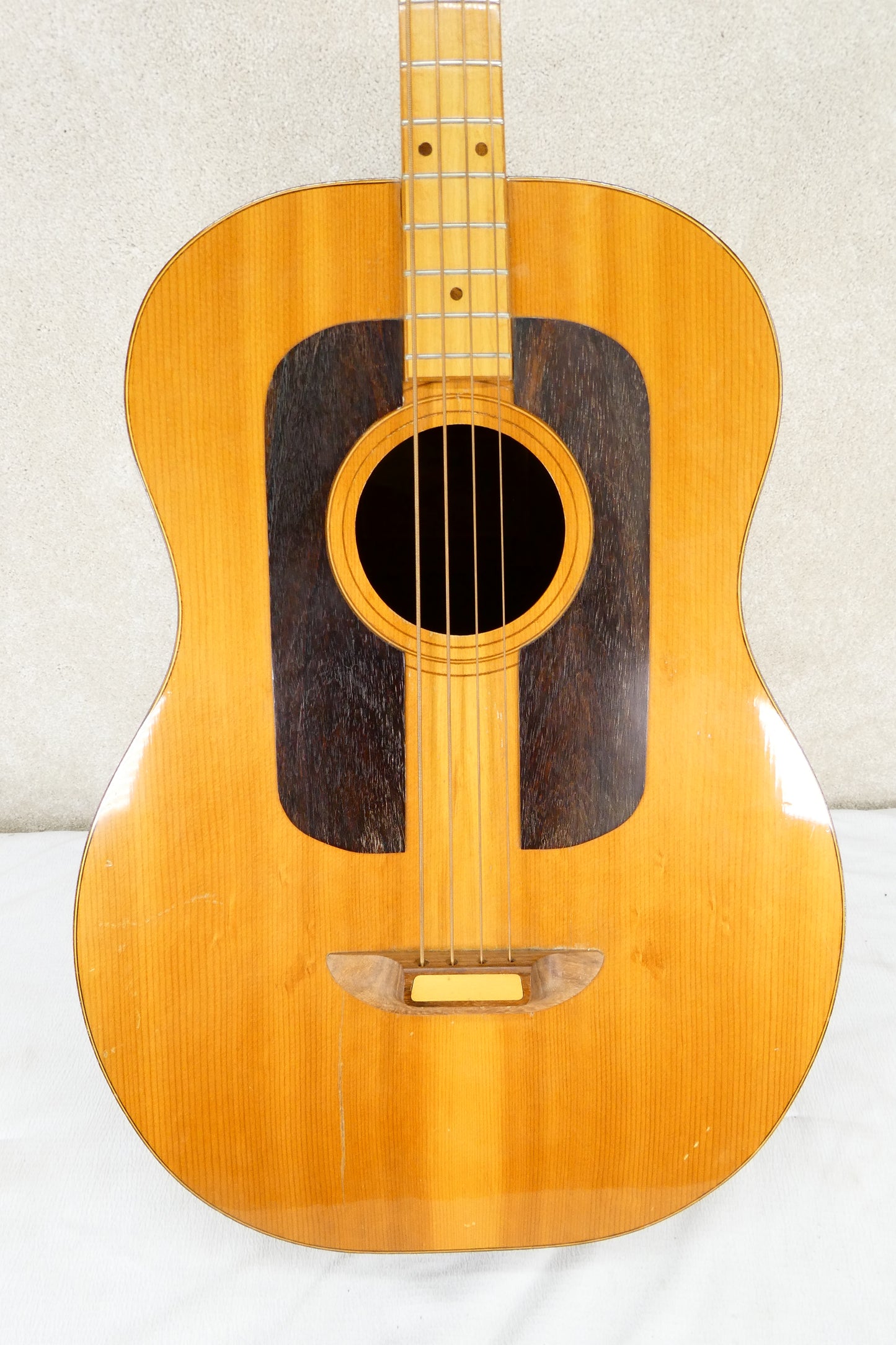 Ernie Ball Earthwood Acoustic Bass Mid 70's
