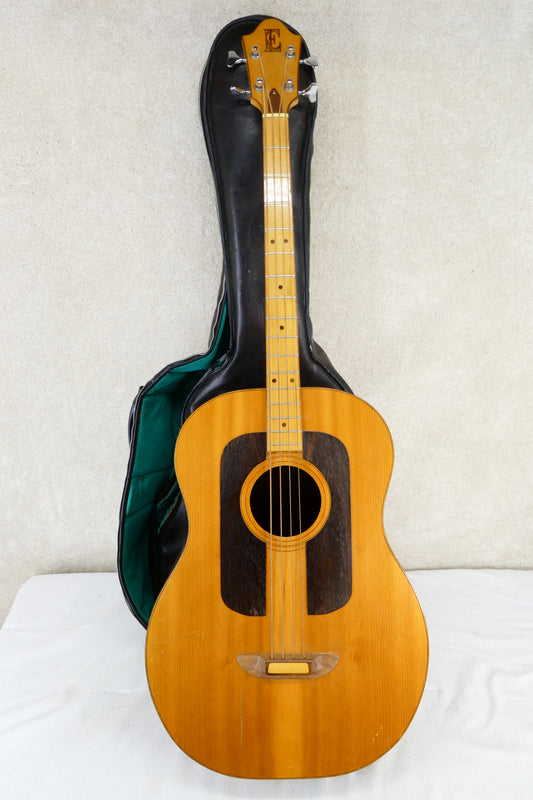 Ernie Ball Earthwood Acoustic Bass Mid 70's