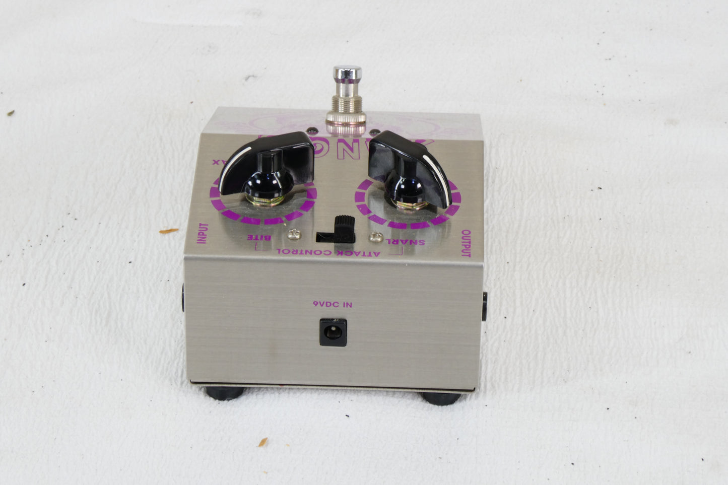 Fuzz Buzz Snarling Dogs