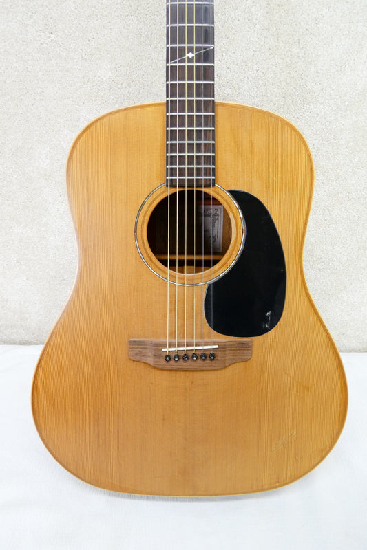 Alvarez Yairi DY-61 w/OHSC