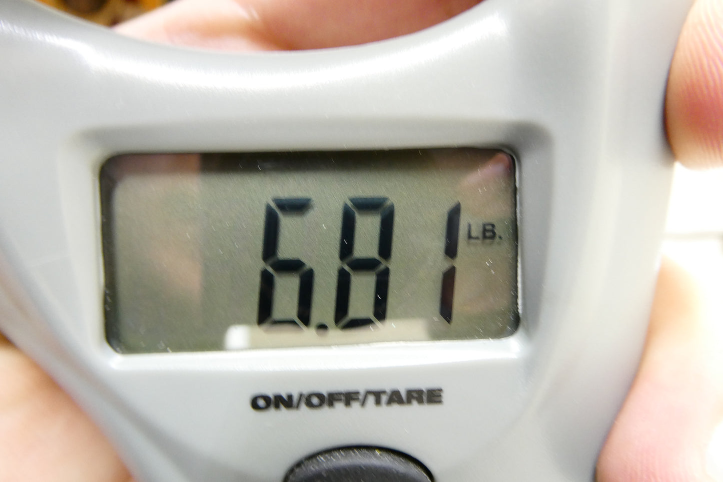 D'Angelico Excel Style B 2021 - Present - Amber