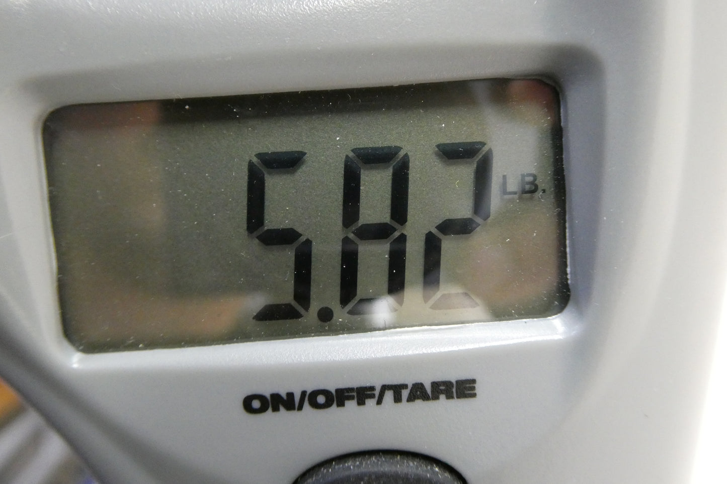 Squier Mustang Surf Green a great starter or punk rock player !