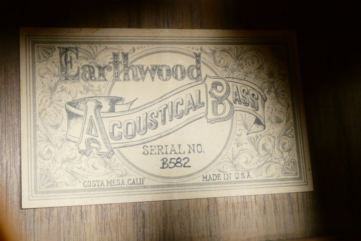 Ernie Ball Earthwood Acoustic Bass Mid 70's