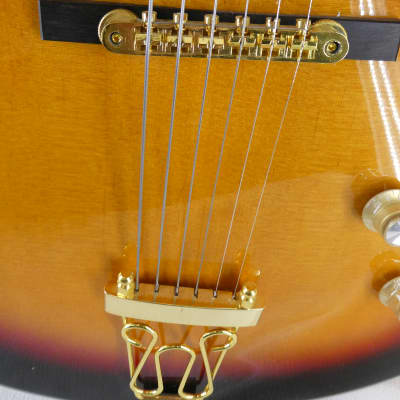 Zuwei Jazz Box Guitar 2022 - Sunburst